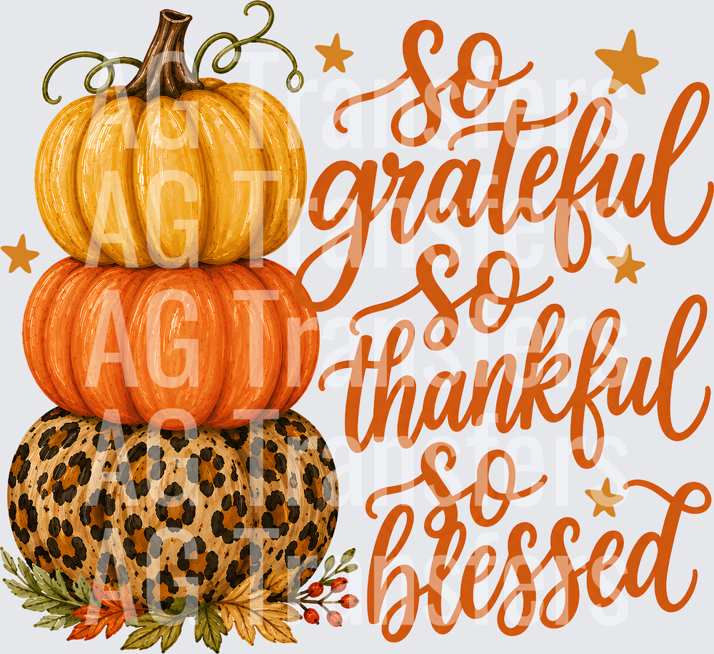 SO GRATEFUL SO THANKFUL SO BLESSED