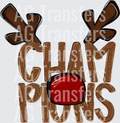 CHAM-PIONS