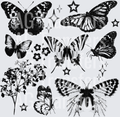 HALFTONE BUTTERFLY