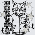 BOBCATS(218)