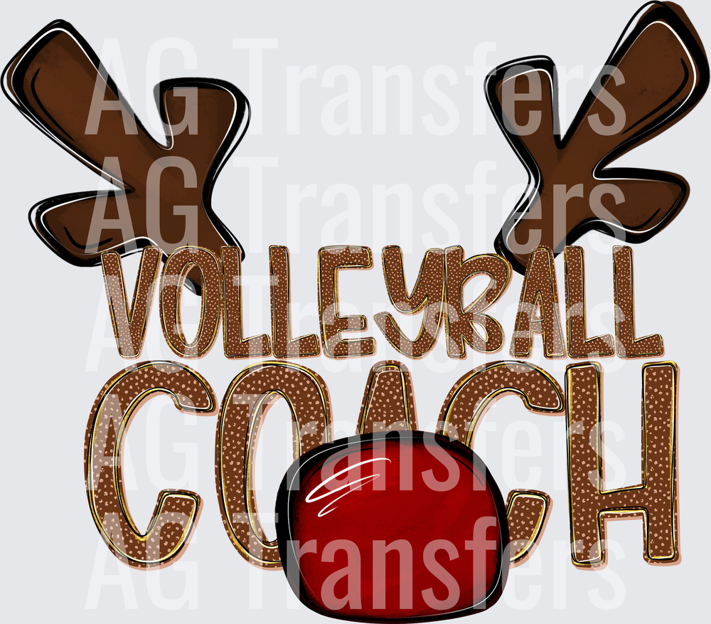 VOLLEYBALL COACH