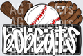 BOBCATS(522)