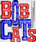 Bobcats Red and Blue