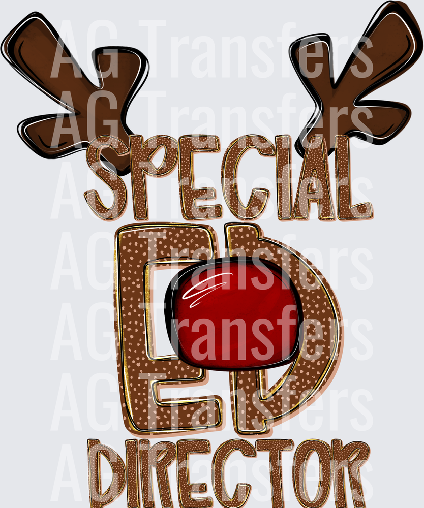 SPECIAL ED DIRECTOR
