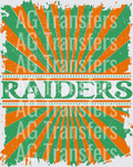 Vintage Teams RAIDERS
