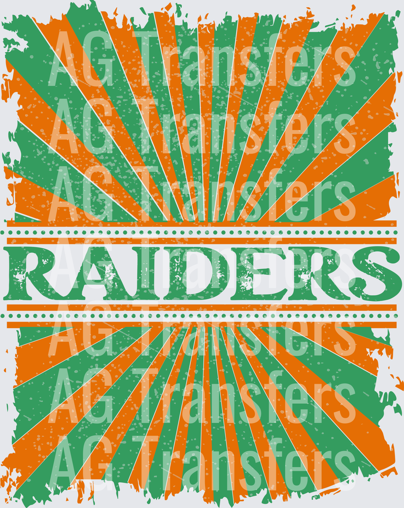 Vintage Teams RAIDERS