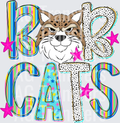 bobcats(147)