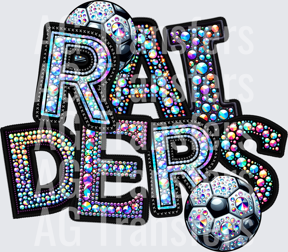 RAIDERS(296)