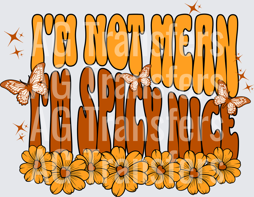 I_M NOT MEAN I_M SPICY NICE