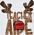 TEACHER AIDE