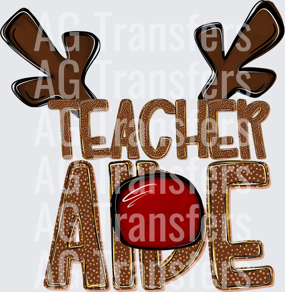 TEACHER AIDE