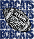 bobcats blue(2)