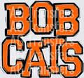 BOBCATS ORANGE(4)