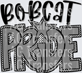 bobcat(59)