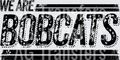 Bobcats(328)