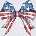 Patriotic Bow_2