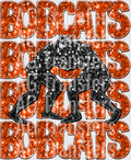 bobcats orange(7)