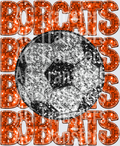 bobcats orange(3)