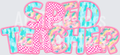 SPED TEACHER(4)