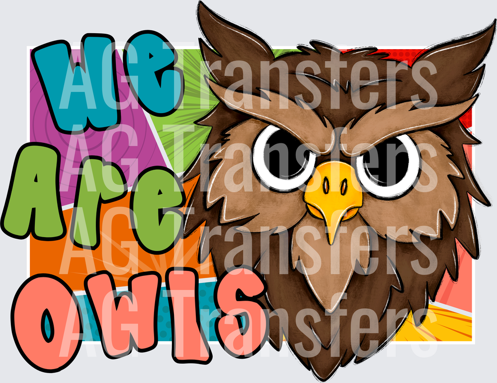 OWLS(30)