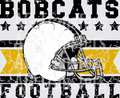 Bobcats(449)