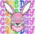 Jackrabbit