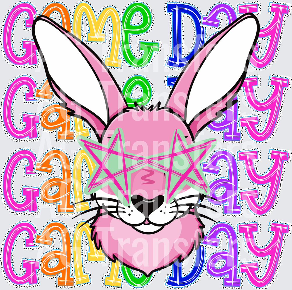 Jackrabbit