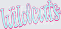 Preppy Wildcats Name Only