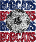 bobcats blue and red(2)