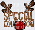SPECIAL EDUCATION