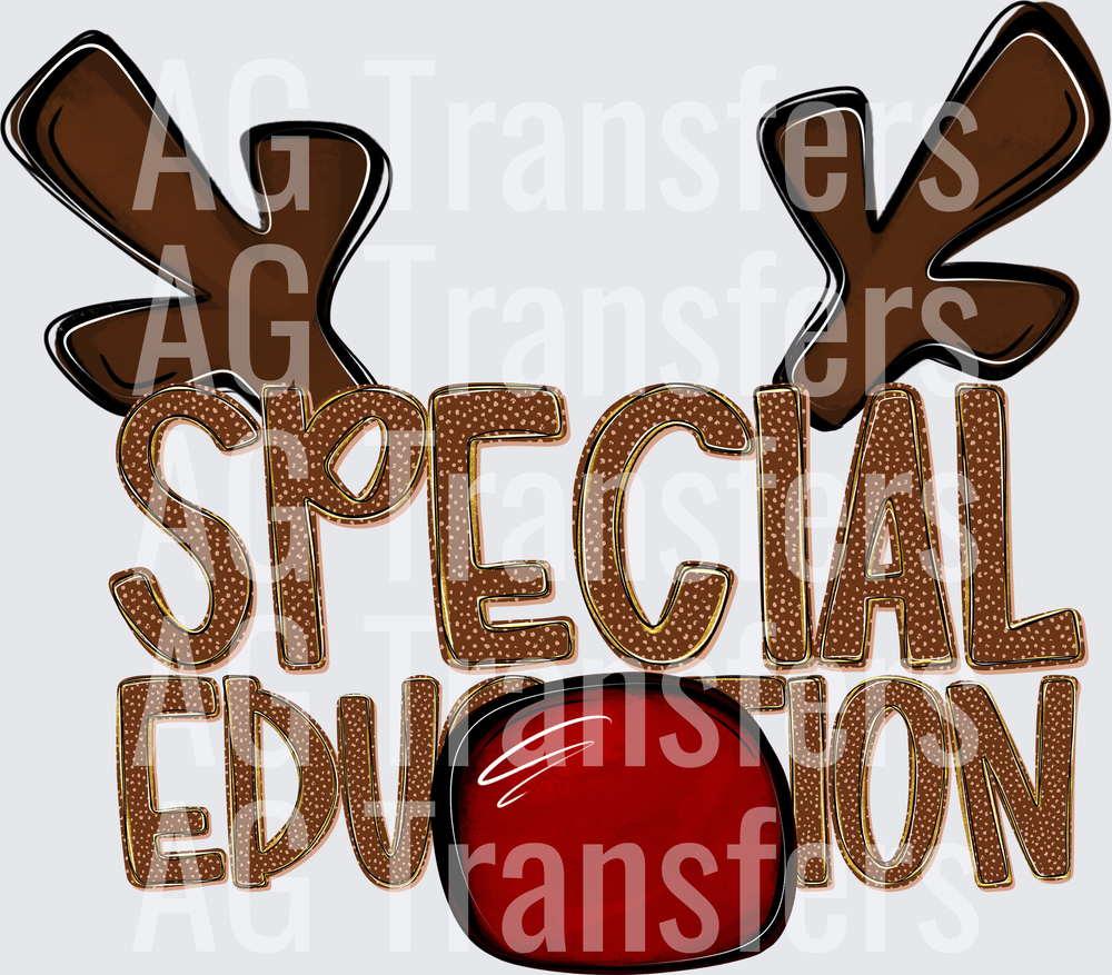 SPECIAL EDUCATION