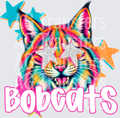 BOBCATS(313)