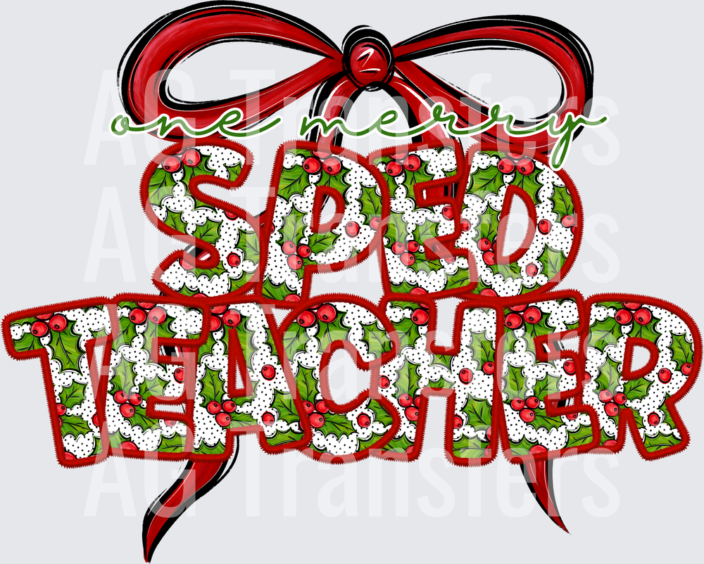 SPED TEACHER(2)