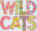 WILDCATS COLORFUL