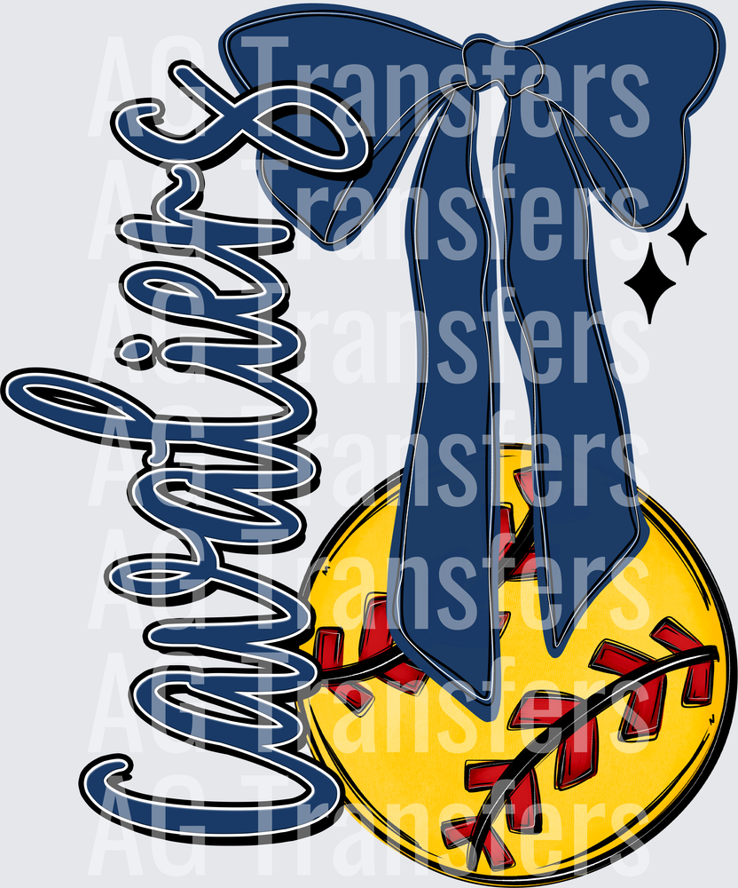 CAVALIERS(15)