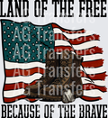 LAND OF THE FREE