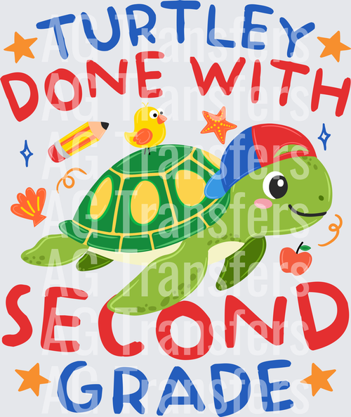 Boy Turtle Second