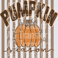 Pumpkin_Season_Stripes