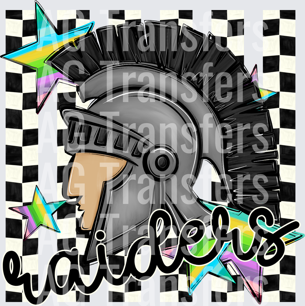 RAIDERS(231)