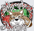 BOBCAT(46)