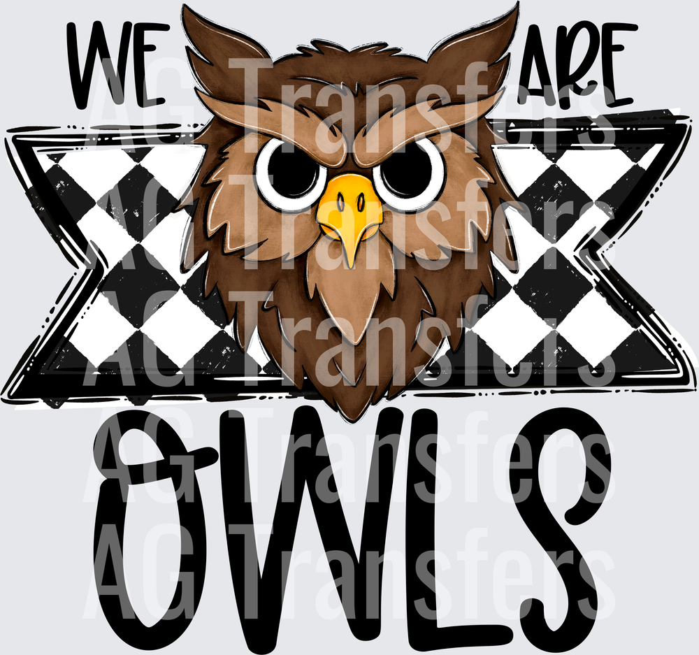 We Are OWLS