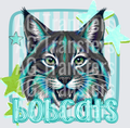BOBCATS(105)