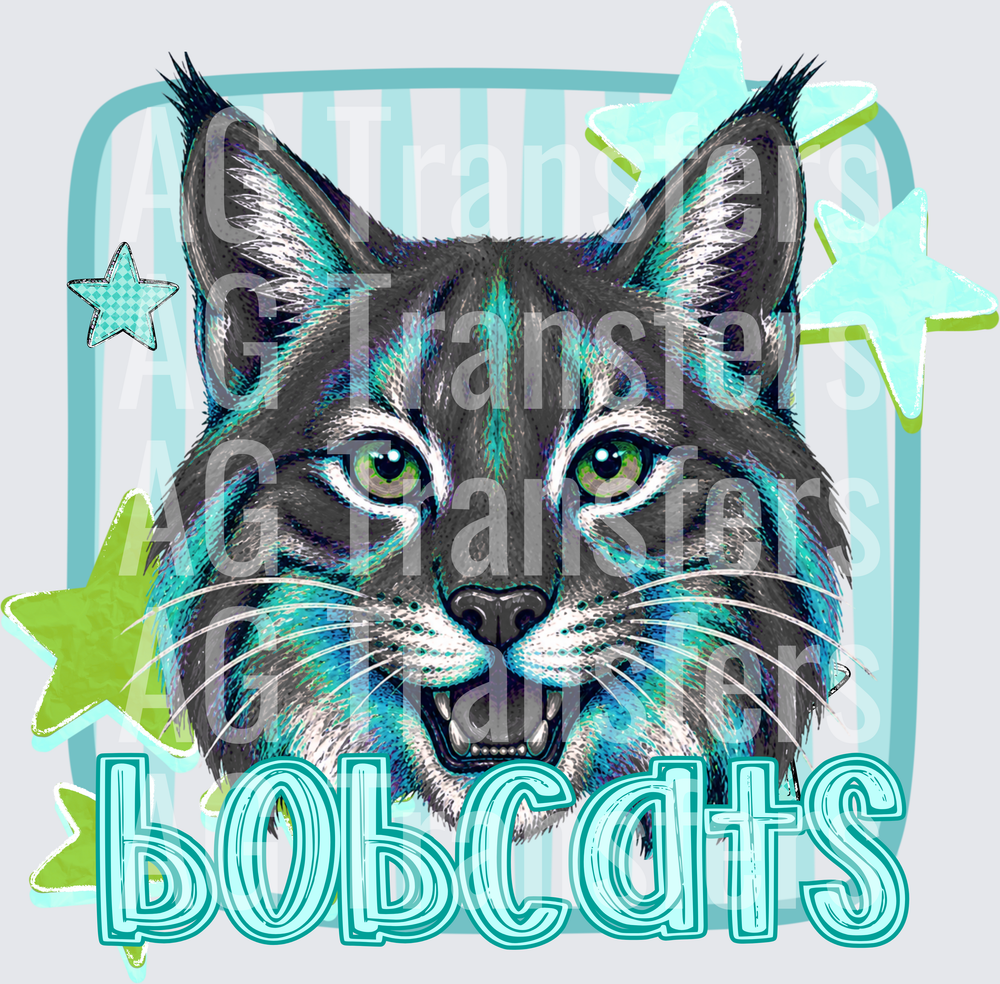 BOBCATS(105)