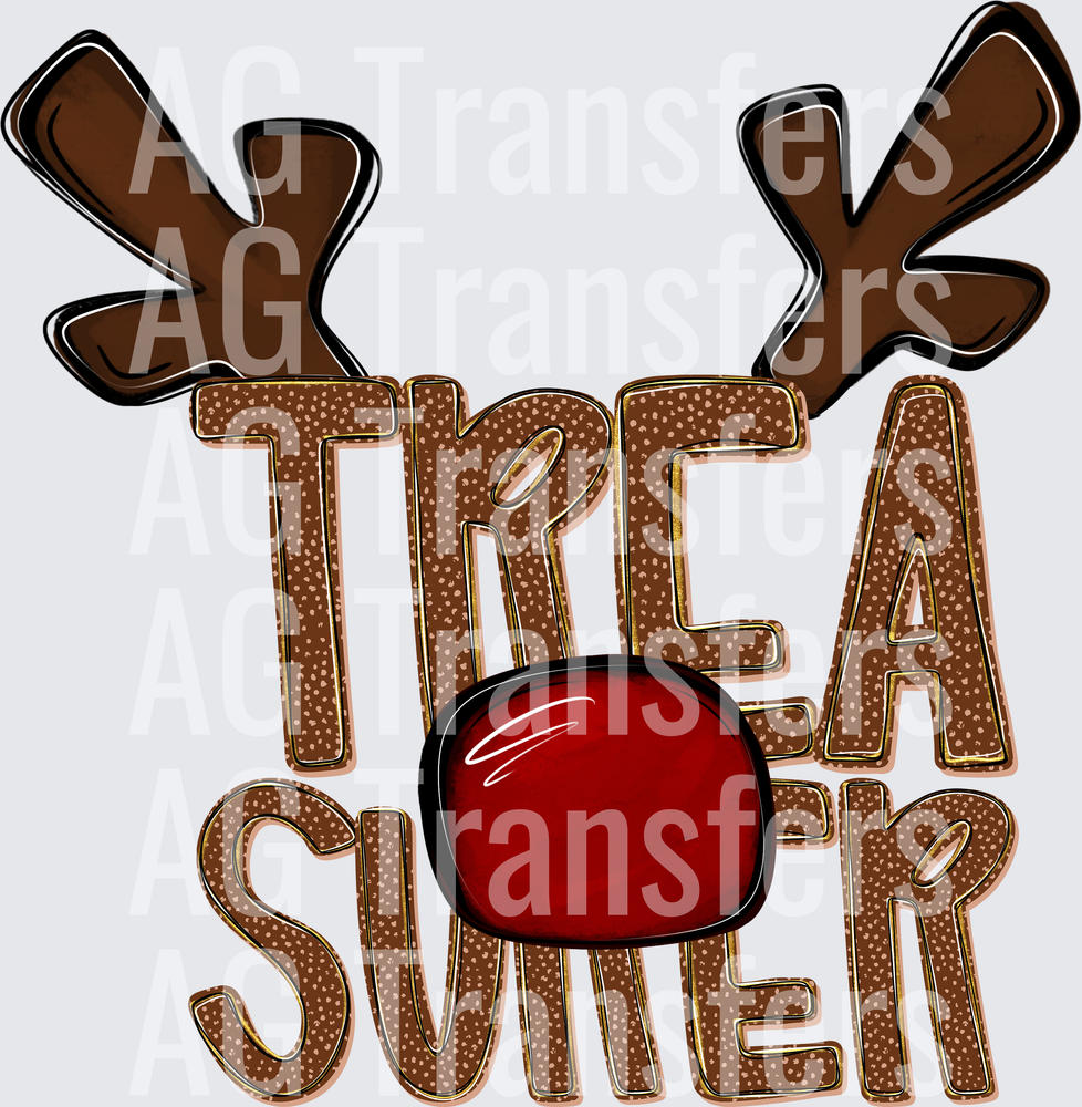 TREA-SURER