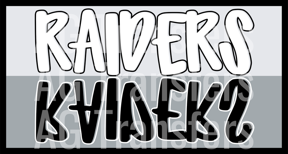 RAIDERS(291)