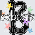 BOBCATS(564)