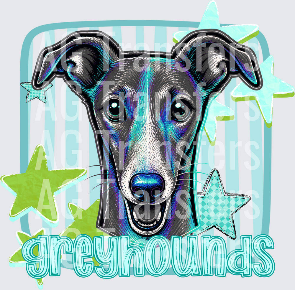 GREYHOUNDS