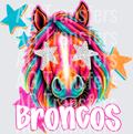 BRONCOS