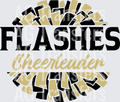 Johnsonville Flashes 2