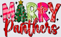 Panthers